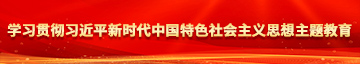 美女舔白虎穴学习贯彻习近平新时代中国特色社会主义思想主题教育